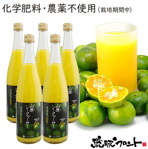 農薬不使用 山原シークワーサー 720ml×5本セット 送料無料 沖縄産 シークワーサー シークヮーサー 果汁100% 原液 ストレート 山原シークヮーサー 沖縄 沖縄県産 山原 やんばる ノビレチン 琉球フロント