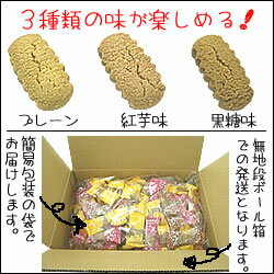 訳あり ちんすこう 3種 メガ盛り 約150袋 送料無料 沖縄土産 プレーン 紅芋味 黒糖味 沖縄 お菓子 珍品堂 琉球フロント