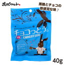 チョコっとう。 塩味 40g 沖縄土産 沖縄 お土産 黒糖 お菓子 チョコッとう ちょこっとう バレンタイン 琉球黒糖