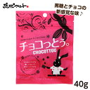 チョコっとう。 プレーン味 40g 沖縄土産 沖縄 お土産 黒糖 お菓子 チョコッとう ちょこっとう バレンタイン 琉球黒糖