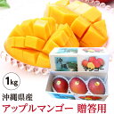 ★ご注文順に出荷中★ 【送料無料】 沖縄県産 アップルマンゴー 贈答用 約1kg(2玉~3玉) 沖縄 ギフト 贈答 産直 お中元 御中元 ※日時指定・同梱不可