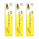 琉球 美・すっぽんぜりー 10本入 ×3個セット メール便 送料無料 沖縄 土産 健康食品 沖縄産 すっぽん パイナップル風味 マンゴー風味 スティックタイプ ...