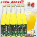 沖縄土産 送料無料 山原(やんばる)シークヮーサー シークワーサー 720ml×5本セット 琉球フロント シークヮーサー原液【メーカ直売】【シークヮーサー】【シークワーサー】レモン