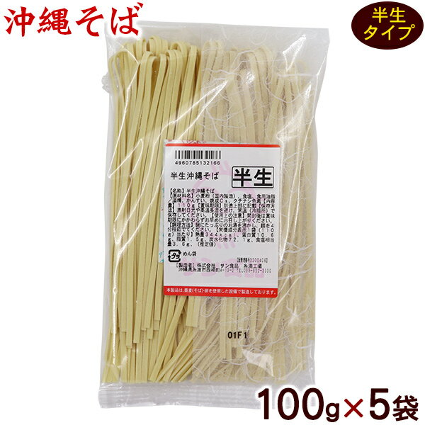 半生沖縄そば 100g×5袋