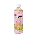 沖縄ボトラーズ グァバ 500ml ペットボトル 冷やしても美味しい グヮバ グワバ 飲料 ドリンク 4541743500564