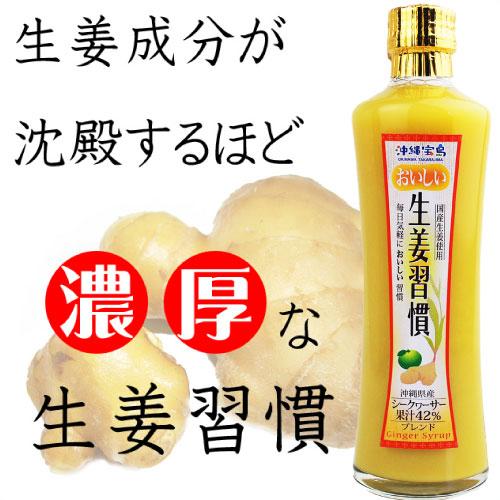 おいしい生姜習慣300ml×12本【しょうが紅茶】【しょうが湯】【生姜】【しょうがサプリ】【しょうが紅茶ティーバッグ】【しょうがはちみつ】【ジンジャーシロップ】【RCP】4582112265844