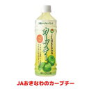 JAおきなわのカーブチー 500ml ペットボトル24本入り 沖縄みかん ジュース 1ケース 冷やしても美味しい