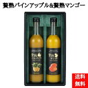 名称 パインアップルジュース マンゴー果汁 内容量 各500ml 賞味期間 製造日より540日 保存方法 高温多湿を避けて常温で保存贅熟 沖縄果実のジュースシリーズの中から、石垣島産パインアップルジュースと沖縄県産マンゴー果汁飲料に。 内容量:各500ml 賞味期限:製造日より540日 ※ギフトボックス入り