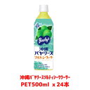 沖縄バヤリースソルティーシークヮーサー　PET500ml x24本　ソルティシークヮーサー　ドリンク　冷やしても美味しい　熱中症対策　沖縄土産　4514603422818