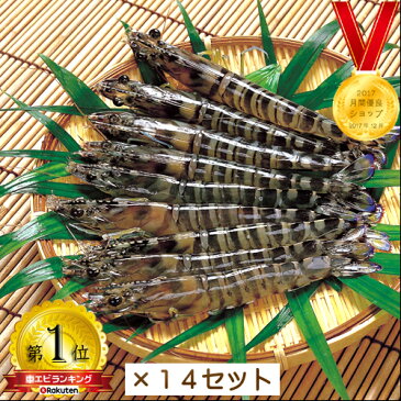 【車海老】30-34尾 500g×14セット 沖縄産 車エビ 活 締め急速冷凍くるまえび 生食用【車海老】【車エビ】【クルマエビ】【くるまえび】【活締め】【冷凍】【沖縄県】【沖縄産】【国産】【久米島産】【養殖】【RCP】【分納】8000280000037×14セット