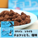 琉球黒糖　チョコっとう。塩味　40g　チョコレート菓子　沖縄お土産　バレンタイン　ばらまき　プチギフト　小袋菓子　うさぎ　ウサギ　4995128112154