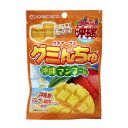 オキコ グミんちゅ マンゴー 40g ご当地グミ フルーツグミ おやつ 大容量 沖縄お土産 沖縄土産 (送料無料)
