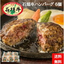 石垣牛ハンバーグ120g×6個　牛肉　国産　小分け　個包装　グルメ　夏ギフト　冬ギフト　母の日　贈答　冷凍（送料無料）