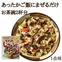 オキハム　まぜこみじゅーしぃの素60g　ジューシーの素　じゅーしーの素　混ぜ込み　まぜごはんの素　混ぜご飯の素　温かいご飯に混ぜるだけ　1合用　4964134415023 その1