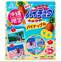 沖縄限定　ハイチュウパイナップル　12粒×5本　ハイチュウ　パイナップル　パイン　沖縄　沖縄お土産　沖縄土産　ばらまき土産　4902888233678