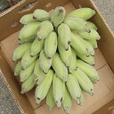 アイスクリームバナナ 1kg ☆ 沖縄県産 今話題のバナナ
