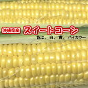 スイートコーン・2L・14本【発送11月〜5月】沖縄県産(沖...