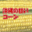 【発送11月〜5月】沖縄県産スイートコーン・2L・14本(沖...