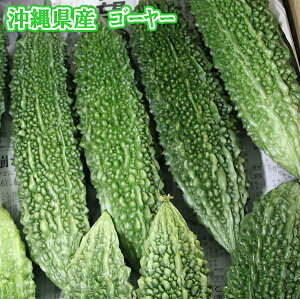 ゴーヤー（苦瓜・にがうり） 500g 【発送年中。お待たせするとき有】 沖縄の野菜は濃い！ 沖縄産 【ゴーヤー ニガウリ 野菜 国産 国内産 沖縄県産 お取り寄せ セット 料理 惣菜 おかず ゴーヤーチャンプルー 材料】【たま青果】※クール便での発送になります。