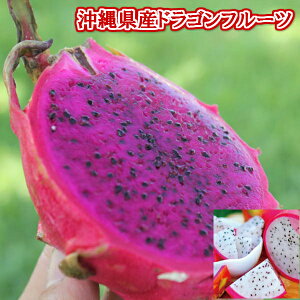 ドラゴンフルーツ　訳あり 約2kg 【発送7月下旬〜12月】 沖縄産 ピタヤ 【訳あり 国産 沖縄県産 果物 ピタヤ ピタヤボウル トロピカルフルーツ スーパーフード お取り寄せ スムージー 食物繊維 便秘解消 ダイエット 低カロリー 抗酸化 美容】【たま青果】