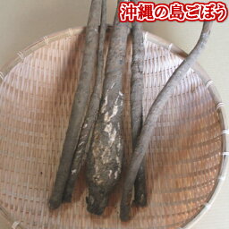 島ごぼう 1kg 【発送 9月〜12月】