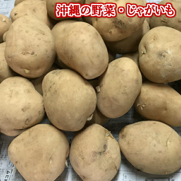 全国お取り寄せグルメ沖縄食品全体No.389