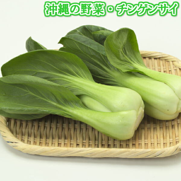 チンゲン菜 2袋（約1kg） 【発送 年中ですが、お待たせする場合有】 安心・フレッシュ沖縄県産野菜 【国産 国内産 沖縄産 チンゲンサイ 野菜 お取り寄せ 料理 惣菜 おかず サラダ 中華 材料】【たま青果】