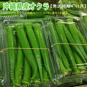 沖縄県産オクラ 1kg(色はお任せ） 【発送4〜12月】沖縄の濃い野菜 夏野菜なのに4月から！採れる！ 【オクラ 野菜 国産 国内産 沖縄産 お取り寄せ セット 料理 惣菜 おかず サラダ 材料】【たま青果】