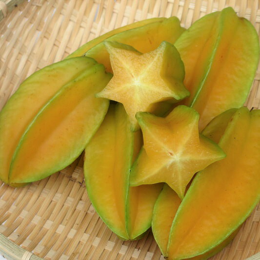 数量限定セール☆ スターフルーツ 訳あり 約1kg 【発送8月中旬〜1月】