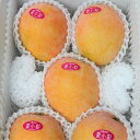 マンゴー 夏小紅 2kg(4〜8個)沖縄県産 発送8月中旬〜9月初