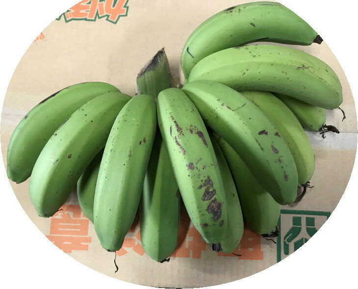 沖縄県産バナナ「三尺バナナ」約5kg 【発送5〜12月】 【チルド発送商品と同梱不可】 島バナナよりも甘い 【スムージーに最適】 【国産 国内産 沖縄産 フルーツ 果物 バナナ お取り寄せ】【たま青果】