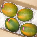 石垣サンゴ フルーツパパイヤ 約4kg(4〜8玉前後) ☆発送8月〜2月 沖縄産