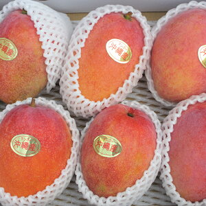 【沖縄県産マンゴー】日本一の収穫量！人気の美味しいマンゴーは？