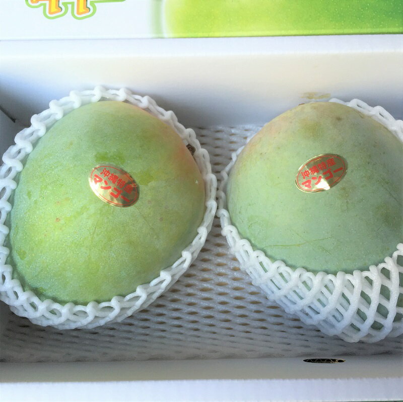 マンゴーキーツ秀品贈答用約1.5kg☆送料無料☆発送8月中旬〜9月中旬沖縄県産