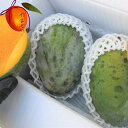 訳あり キーツマンゴー 約1.5kg ☆ 送料無料 ☆流通量が少なく「幻のマンゴー」と呼ばれる。国産 沖縄県産 果物 マンゴー トロピカルフルーツセット
