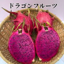 ドラゴンフルーツ(秀品) 約2kg ☆発送7月~12月 沖縄産