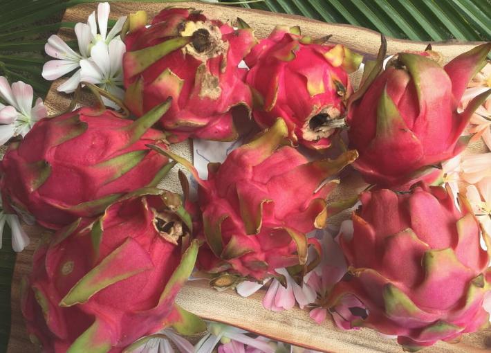 【送料無料】ドラゴンフルーツ　 訳あり 約4kg 【発送7月下旬〜12月】 沖縄産