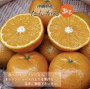 伊豆味産 たんかん 優品 約3kg 発送1月~3月上旬