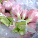 島にんにく 5kg(中玉) 【発送 3月〜5月】