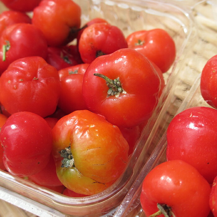 生アセロラ 1パック (約200g) ※傷みやすい為に冷凍発送のみとなります。 発送6月〜