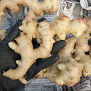 沖縄産 新生姜 1キロ 【発送 10月〜4月】