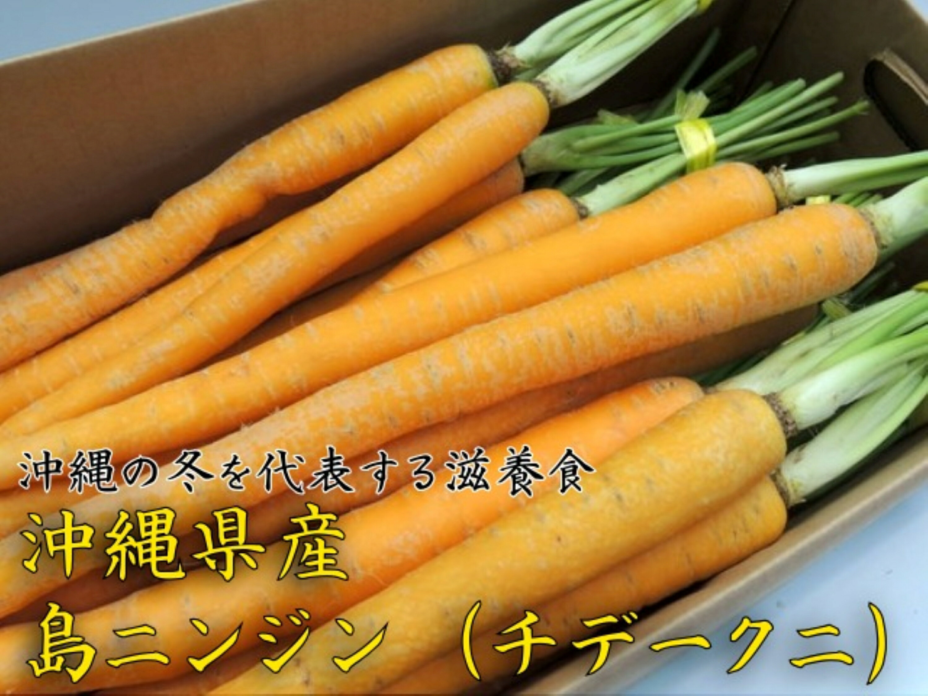 島人参（チデークニ）1kg 2束【発送12〜2月】