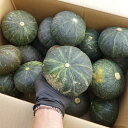 訳あり 小玉 栗カボチャ 約3kg (4玉〜5玉前後 )沖縄県産