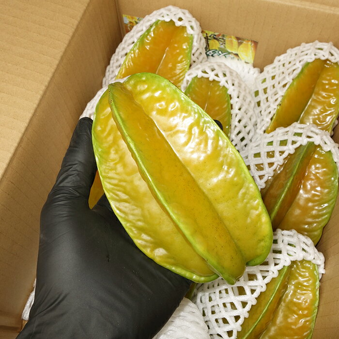 スターフルーツ 訳あり 約300g 【発送7月中旬〜1月】沖縄産