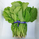 からし菜 約500g