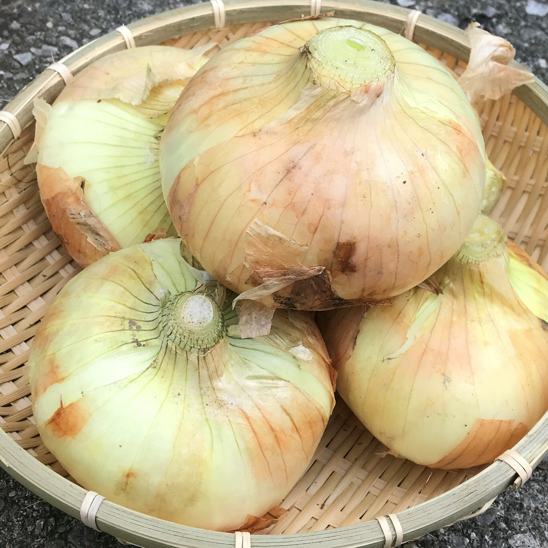 商品説明 商品名 沖縄県産　たまねぎ 保存方法 新玉ねぎは、水分が多く、痛みやすいので袋に入れ野菜庫に入れるか、風通しの良い涼しいところで。 また、切って使いかけの物は切り口が乾燥しないようにラップして冷蔵する。 消費期限 できるだけ早くお召し上がりください。 ★沖縄のたま青果★ 果物、野菜など、直接市場で仕入れたものを販売していきます。 沖縄の大自然で育った果物、野菜を是非、味わってみてください！ 沖縄ならではの、食品、調味料、名産品も扱っています！ 訳あり、割引、送料無料、詰め合わせセットの商品も盛りだくさん！ 【沖縄の青果店】 果物・フルーツ・青果・野菜 【贈り物に】 ギフト・お中元・お歳暮・父の日・母の日・敬老の日・クリスマス・冬ギフト ・お年賀・バレンタインデー・ホワイトデー・お土産・手土産・贈りもの・進物 ・お返し・御祝・御礼・御挨拶・プレゼント 【お祝いや内祝いなどの祝儀の品に】 ブライダル・引き出物・お祝い・内祝い・結婚祝い・結婚内祝い・出産祝い ・出産内祝い・引き菓子・快気祝い・快気内祝い・プチギフト・結婚引出物 ・七五三・進学内祝・入学内祝・お供え