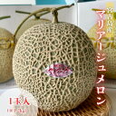 マリアージュメロン 1玉(@1.2kg前後) 【発送12月〜5月】 沖縄宮古島産