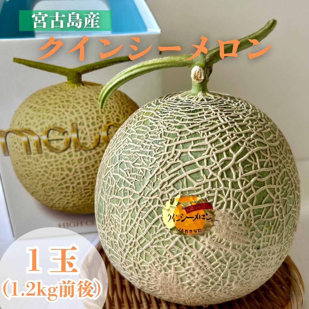 クインシーメロン 1玉(@1.2kg前後) 【発送12月〜5月】