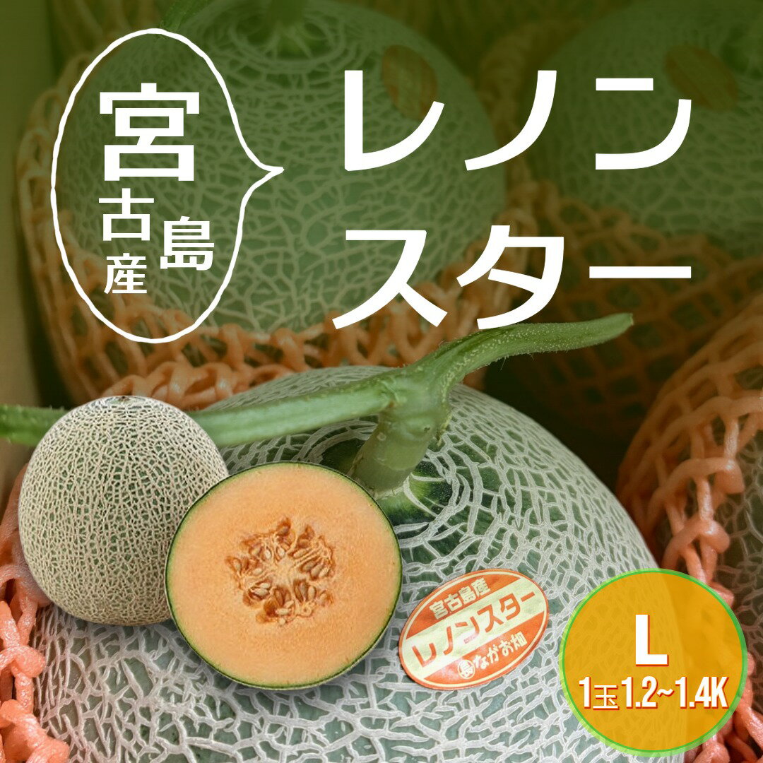 宮古島産　レノンスター　1玉1.2～1.4キロ