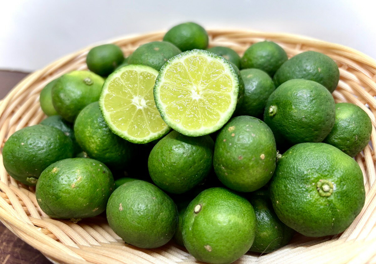 沖縄県産　種なし シークワーサー　 約2kg 発送8月〜10月 沖縄産のサムネイル